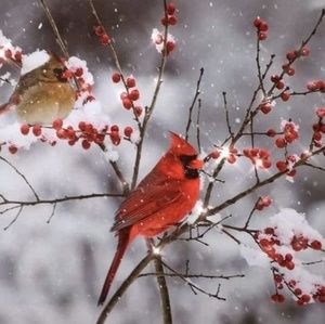 Meet your Posher, Karen